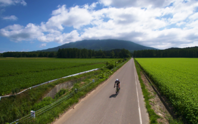 NHK WORLD TV highlights for September