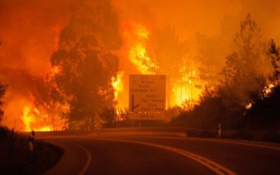 Euronews immerses its audience in the aftermath of the deadly fire season in Portugal