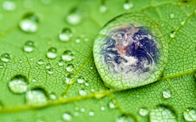 AIBs 2018 to reward Asia-Pacific sustainability TV and radio