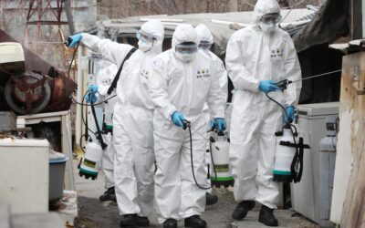 INSI issues coronavirus advisory