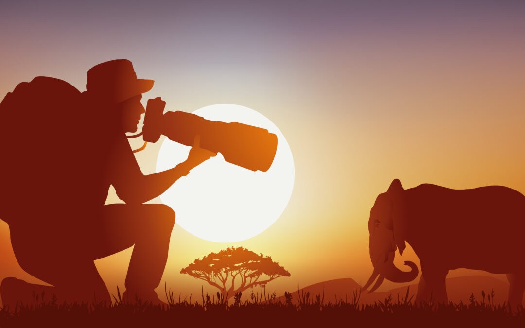 Thinking about Documentaries: A guide for potential documentary production