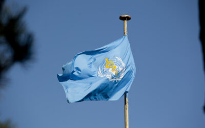 WHO collaborates with other UN agencies on pandemic disinformation