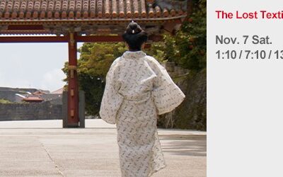 NHK WORLD November programme highlights
