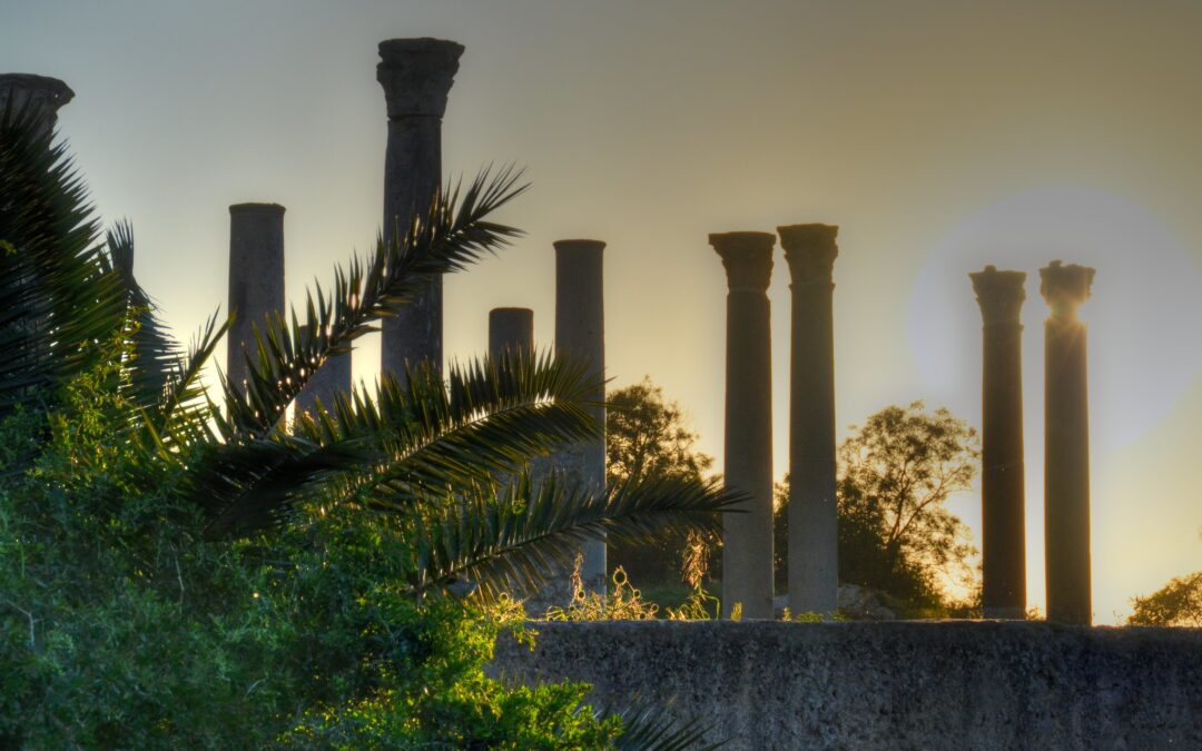 France 24 heads to Carthage with UNESCO