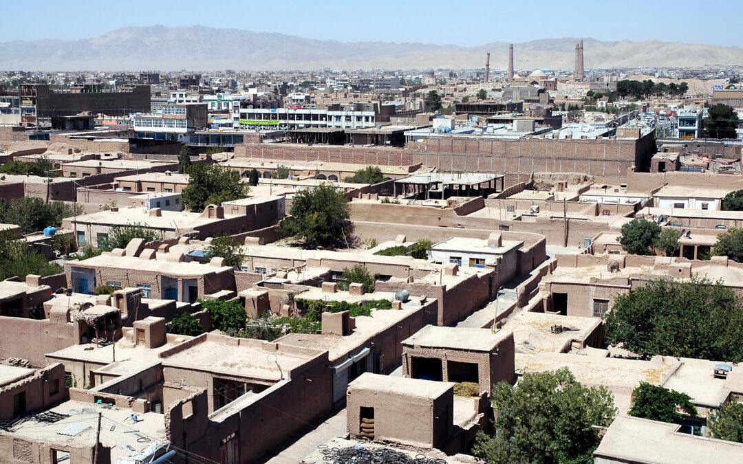 Taliban murder relative of DW journalist, injure another