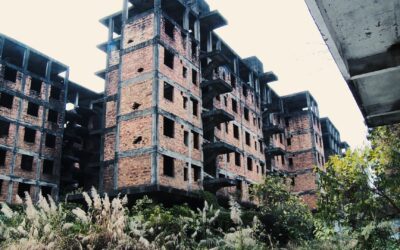 NHK World September programme highlights