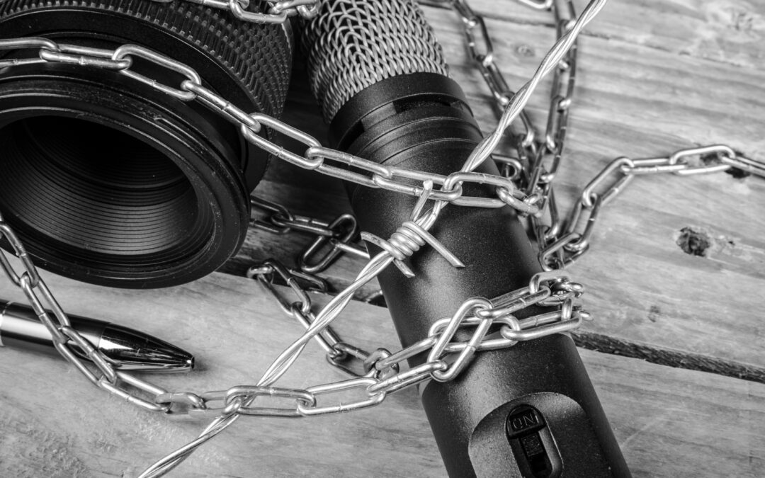 Media Freedom Coalition evaluation published at Estonia conference