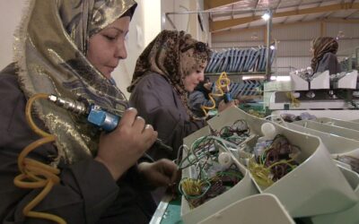 Orchard Clips launches with Middle Eastern Video Content