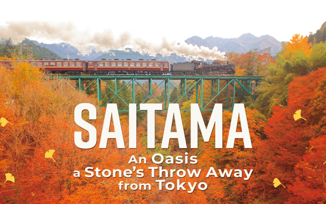 NHK WORLD-Japan Programme Focus for November