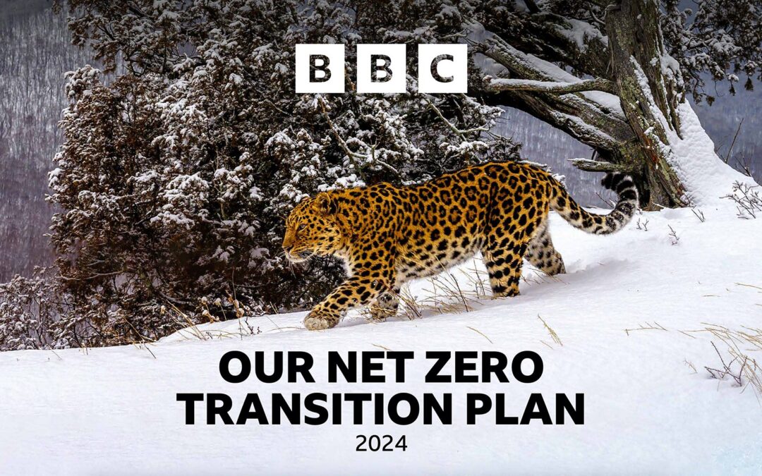 BBC publishes Net Zero Transition Plan