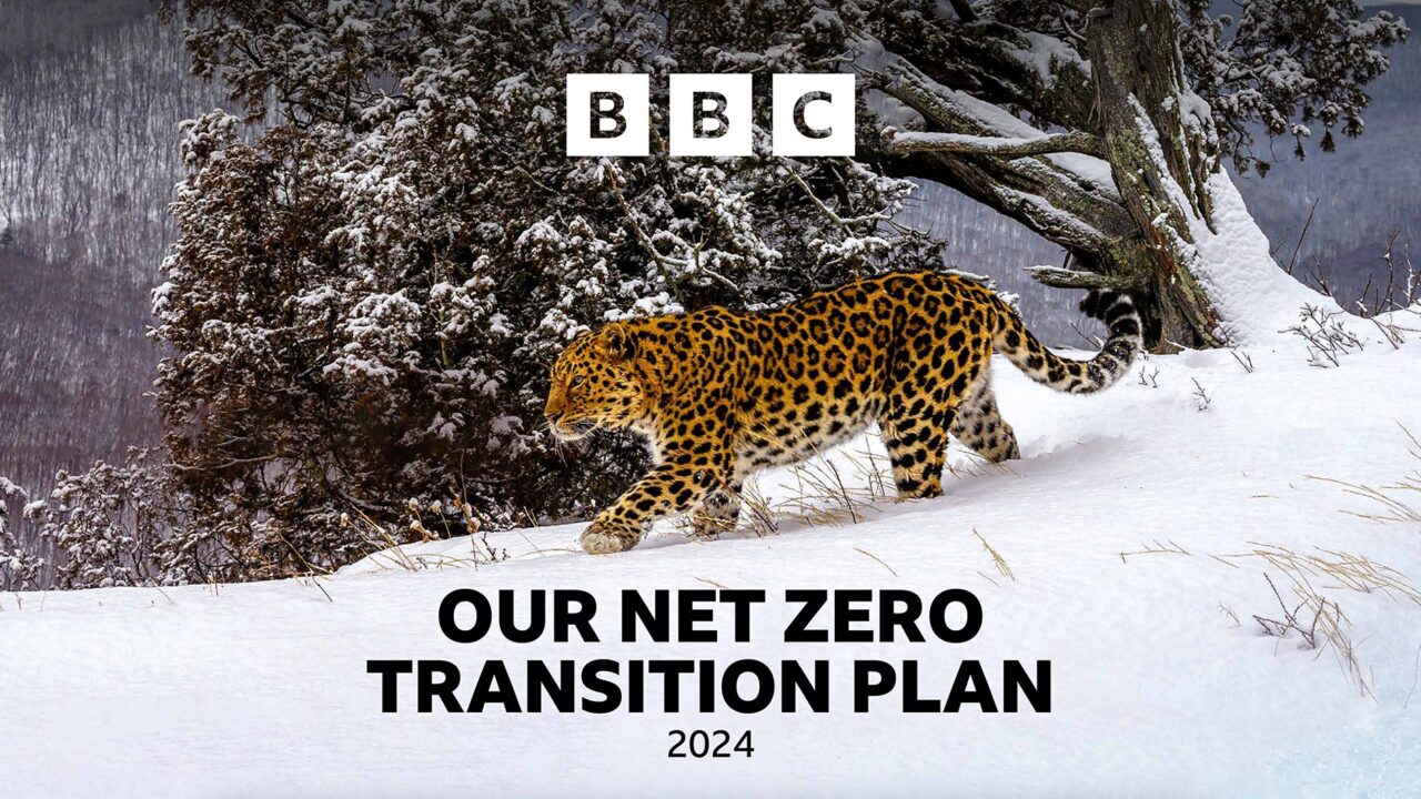 BBC publishes Net Zero Transition Plan | AIB