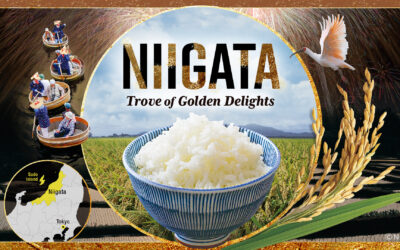 NHK WORLD-JAPAN programme focus in June: Niigata