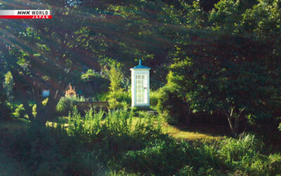 NHK WORLD-JAPAN programme focus in March: Phones for Heart-to-Heart Connections