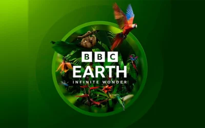 BBC Studios expands footprint in Africa with CANAL+